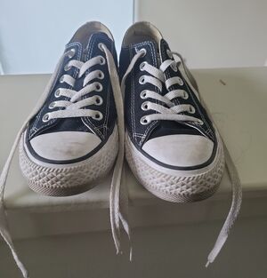 Converse Black & White Low-Top Canvas All Star Sneakers